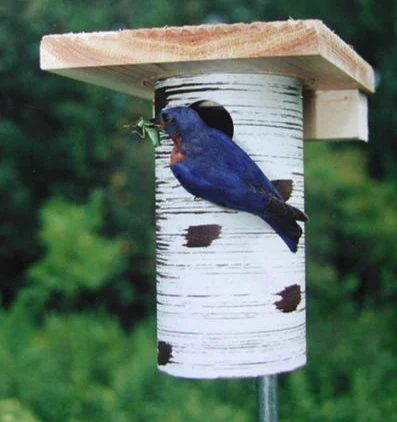 Birdhouse Best Sellers